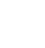 pacera Logo